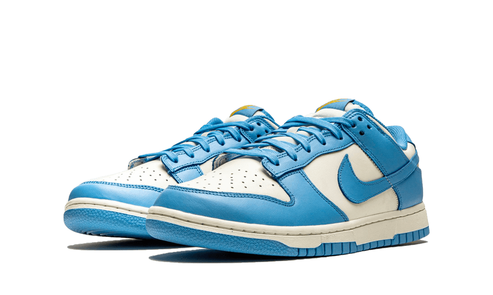 Nike Dunk Low Coast (W)