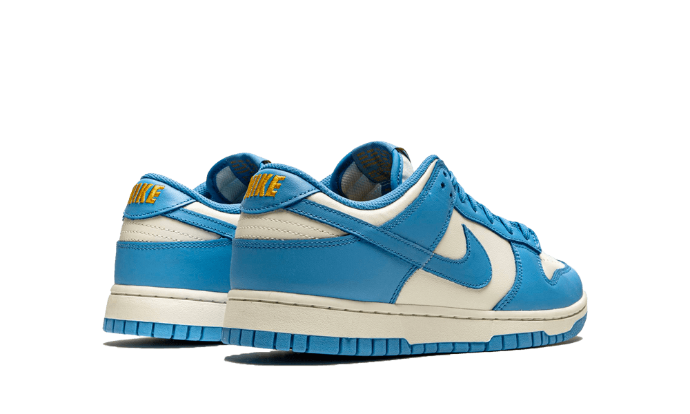 Nike Dunk Low Coast (W)