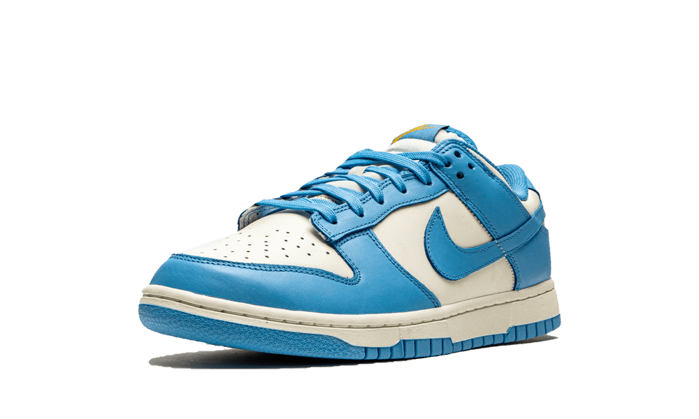 Nike Dunk Low Coast (W)